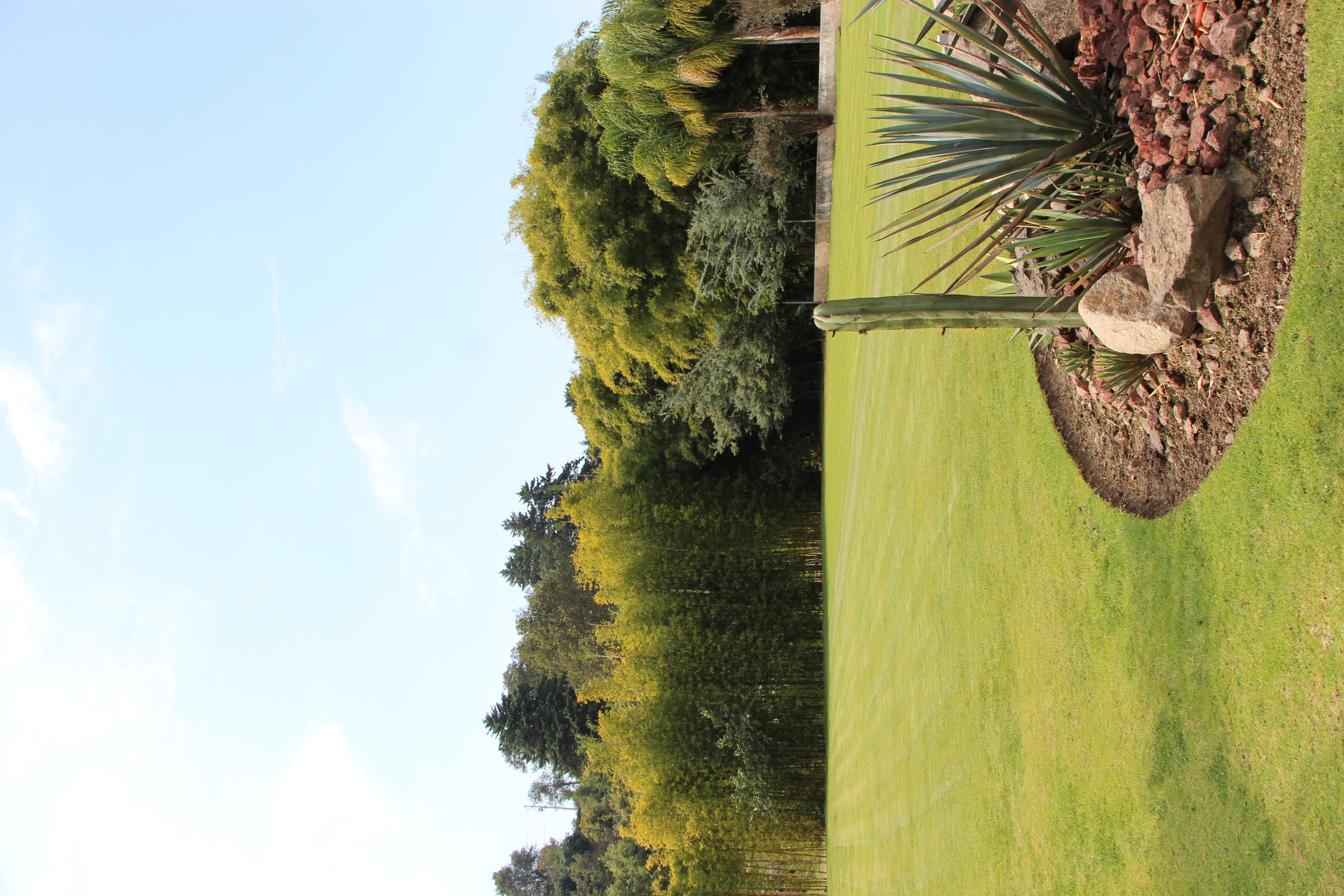 Iluminación arquitectónica en el jardín