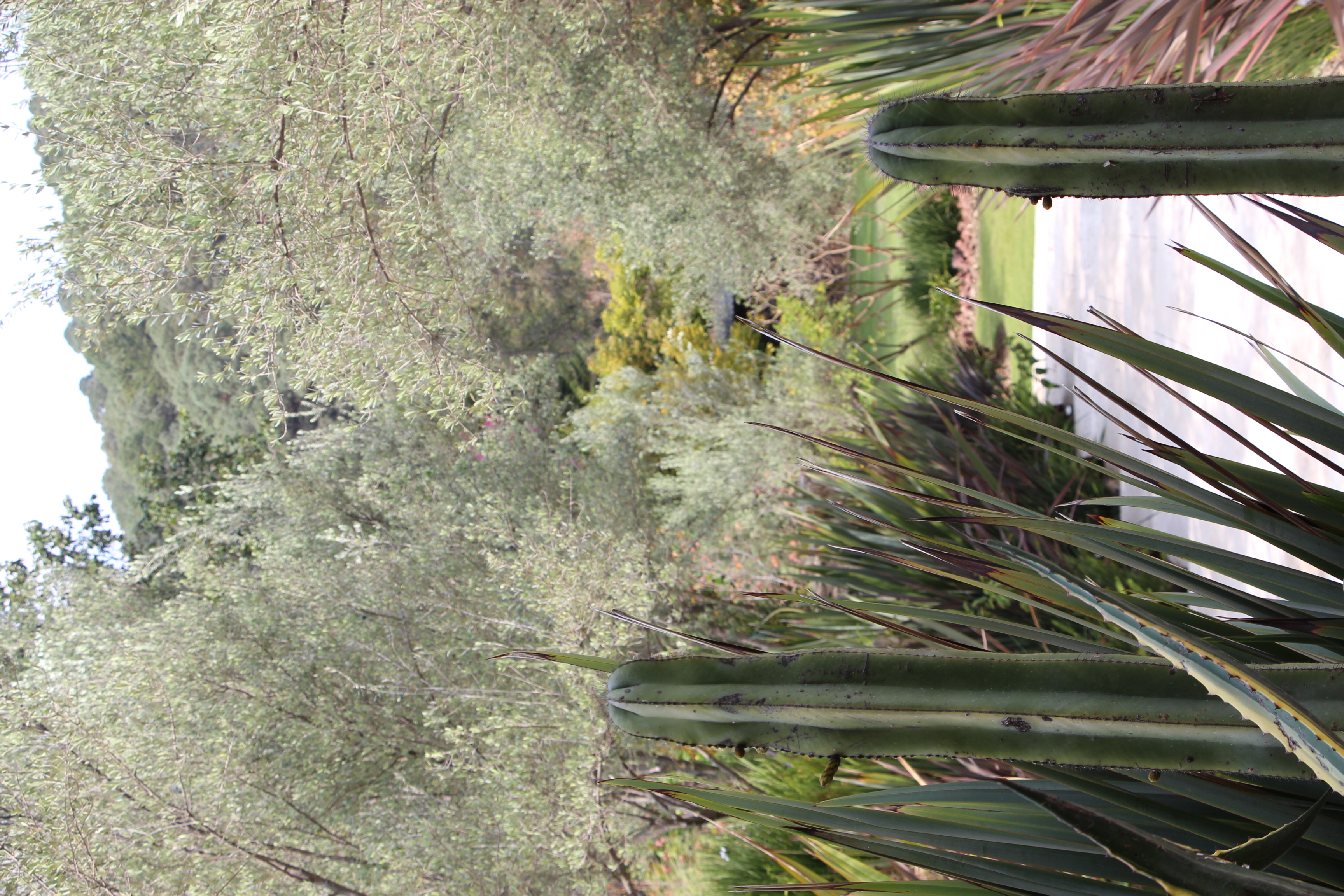 Vista general del jardín principal