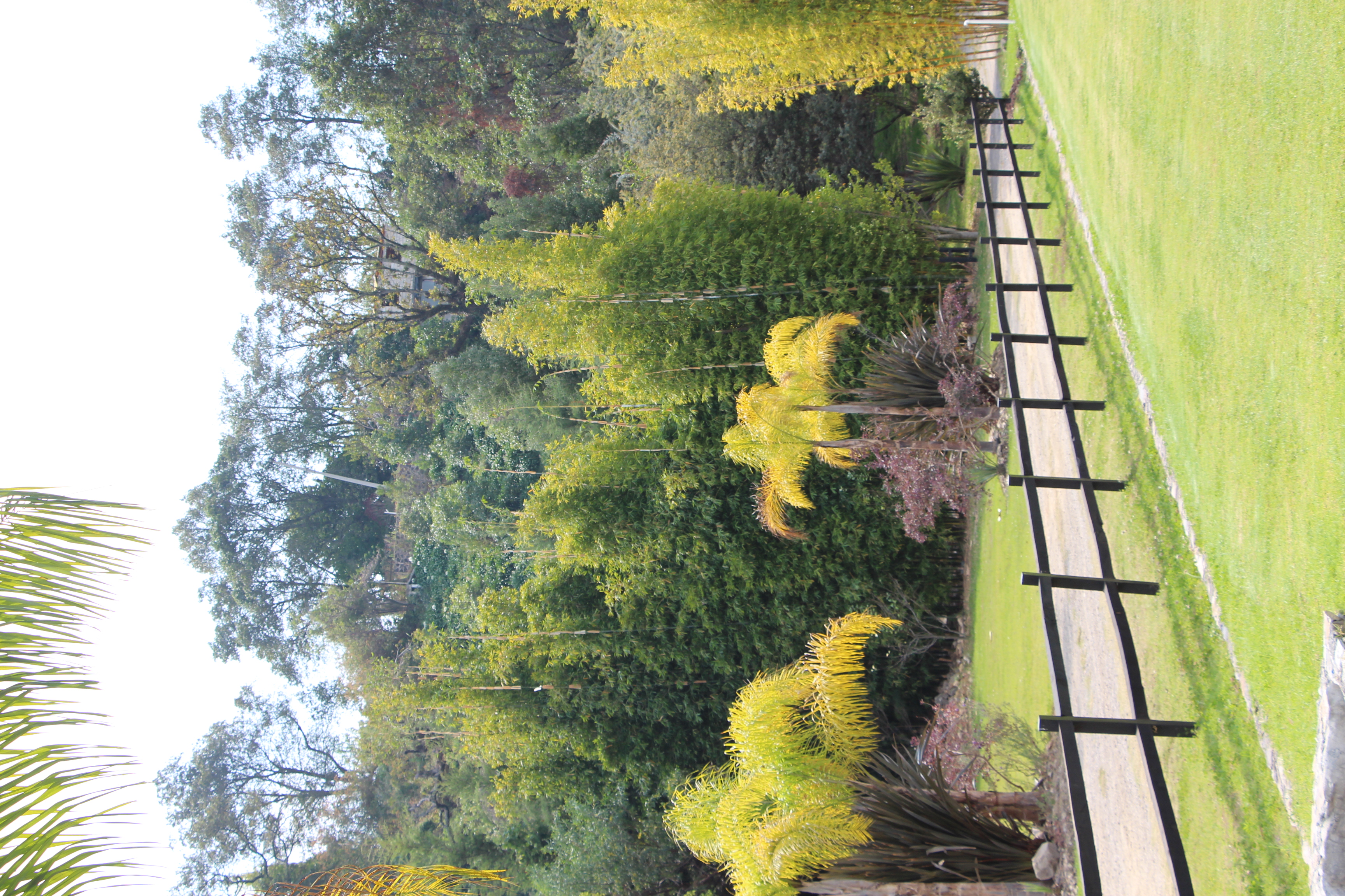 Rincón fotográfico en el jardín