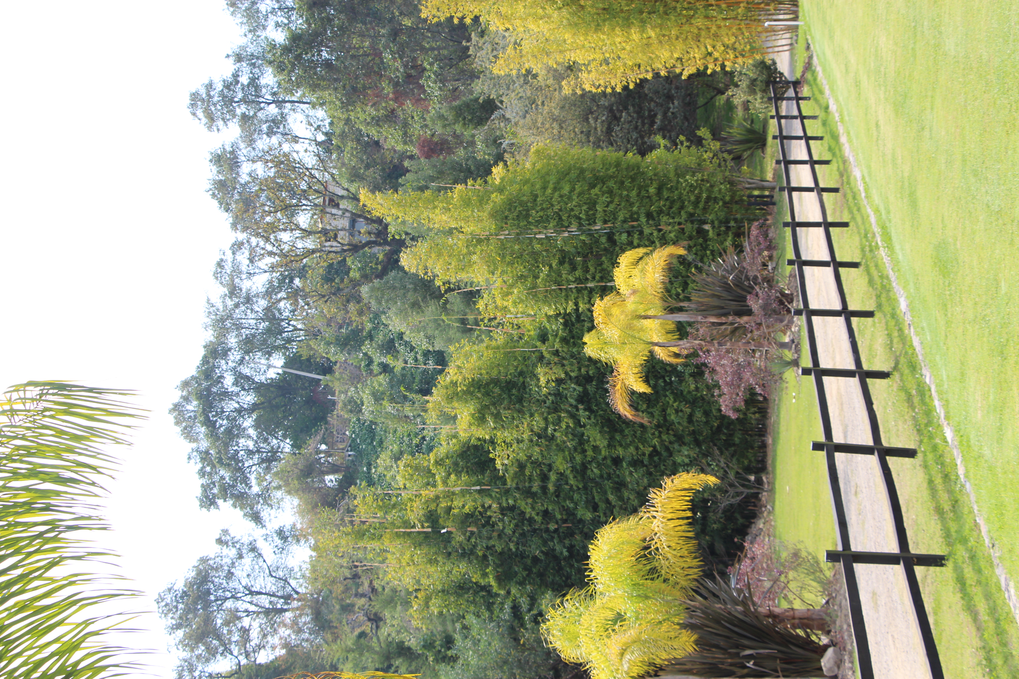 Área de coctel rodeada de naturaleza