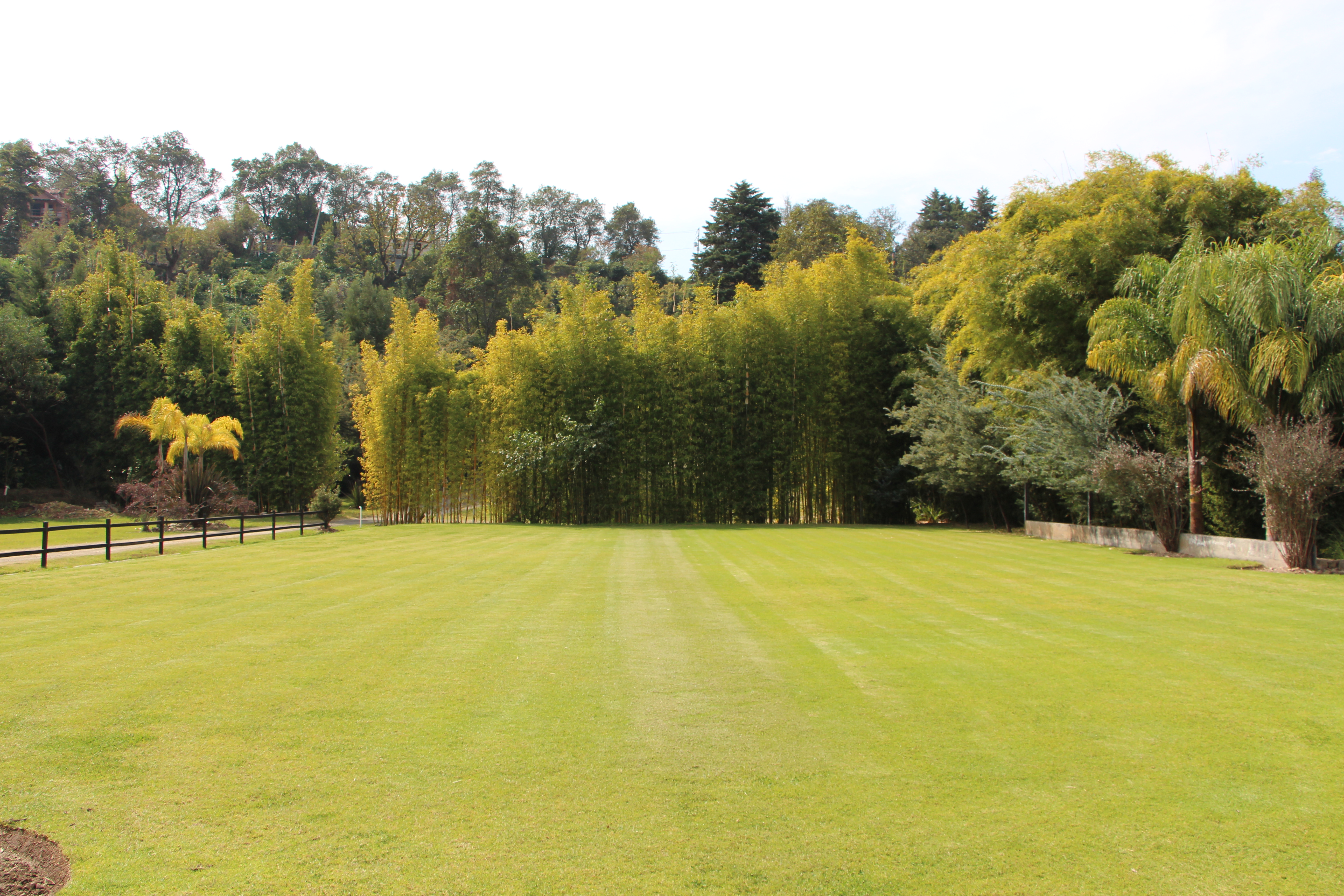 Senderos naturales y vegetación exuberante