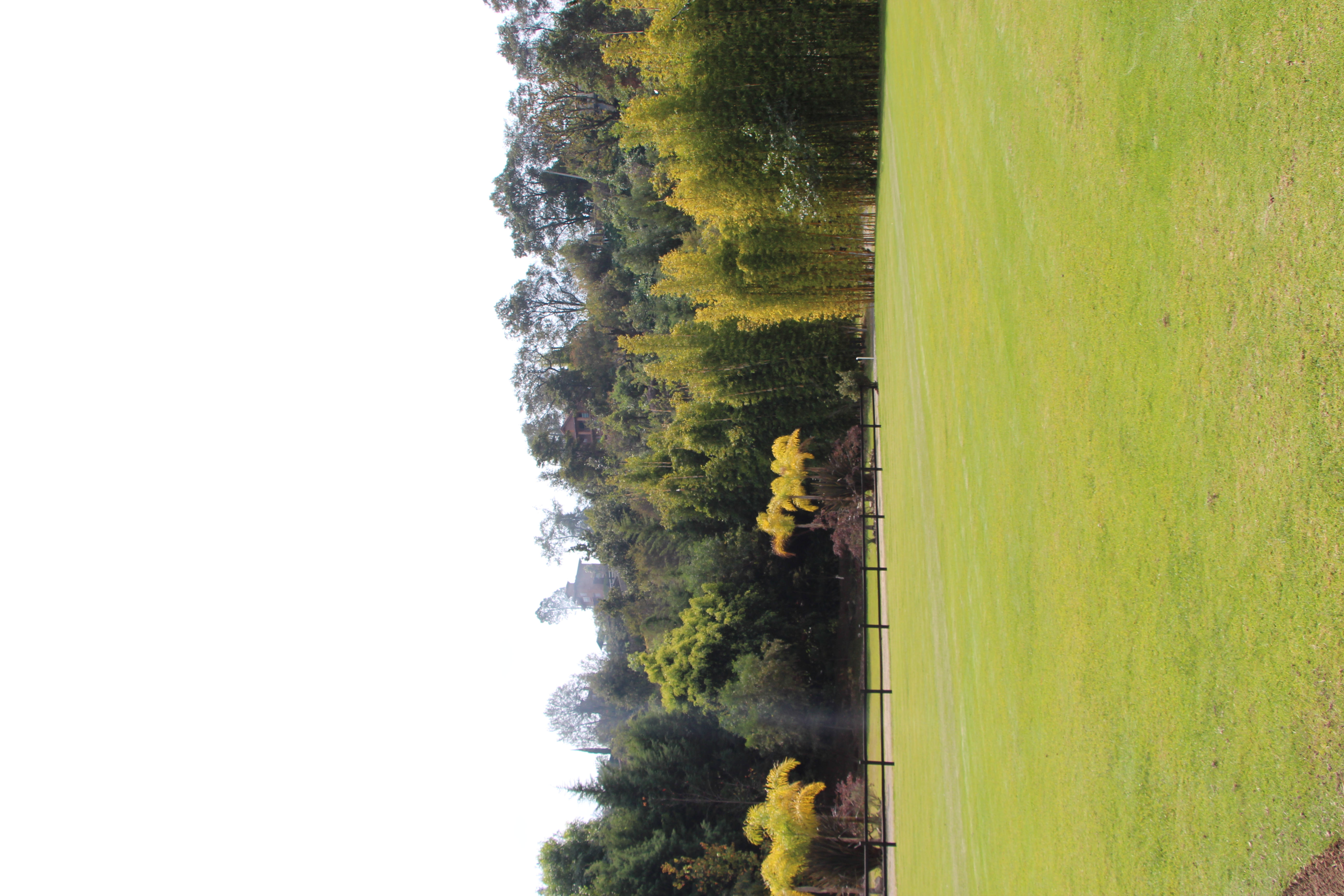 Detalle de arquitectura y naturaleza