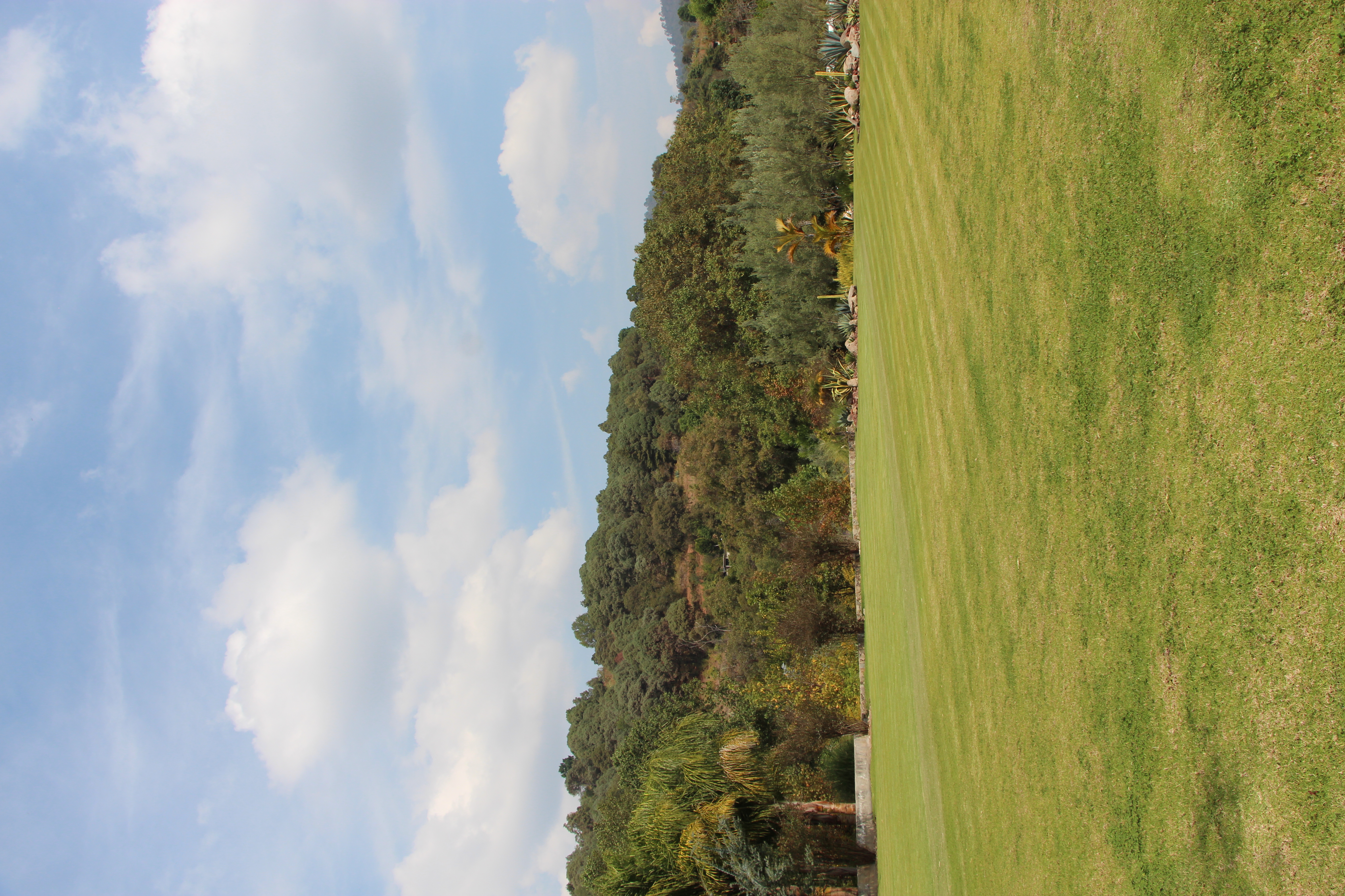 Montaje de mesas bajo los árboles