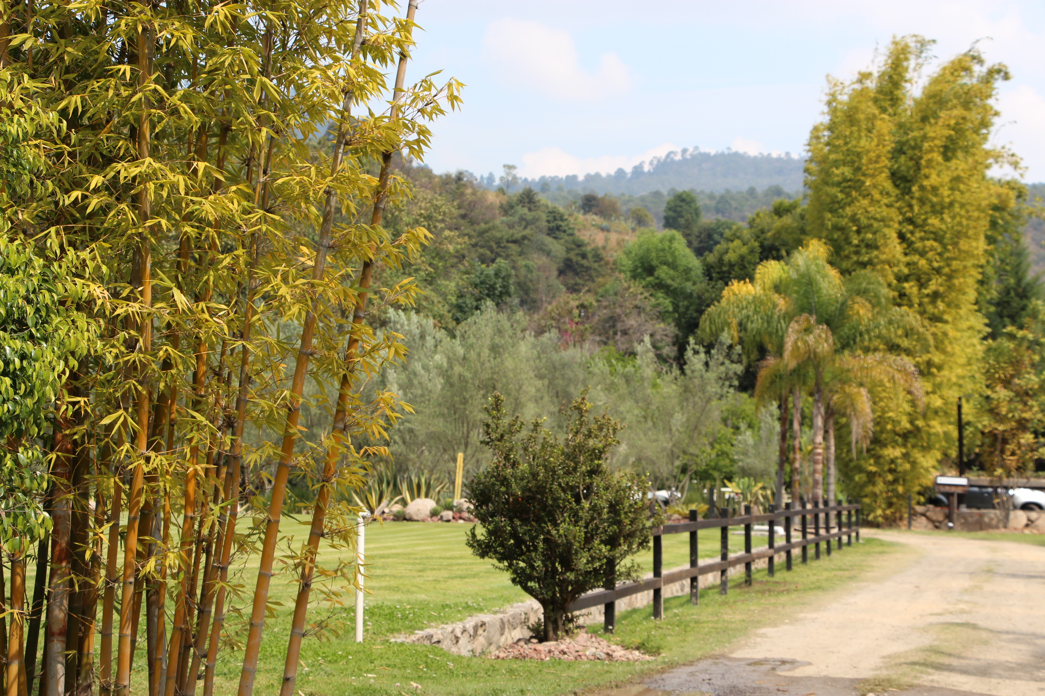 Entrada principal decorada